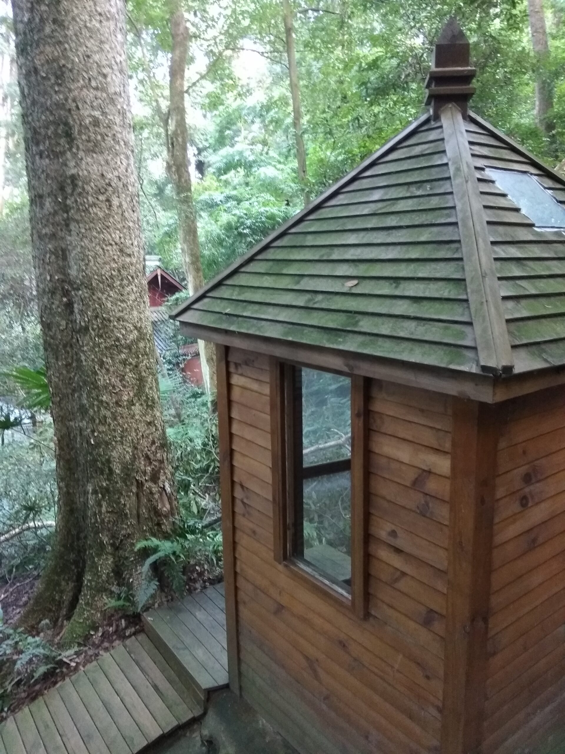 Formation Massage Tuina Grenoble