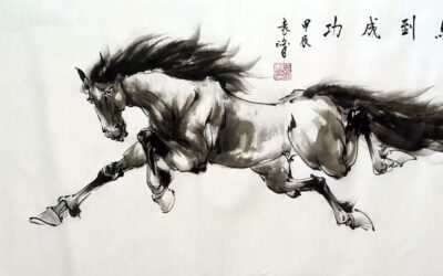 Newsletter Nouvel an chinois 2026